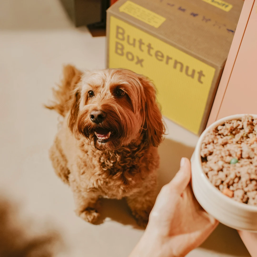 30% Butternut Box Gutscheincode  Juni 2026 exklusiv auf CaptainCoupon